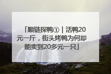 顺链探鸭①｜活鸭20元一斤，街头烤鸭为何却能卖到20多元一只