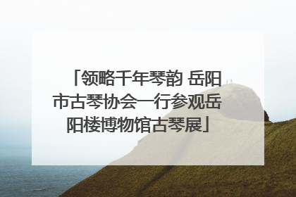 领略千年琴韵 岳阳市古琴协会一行参观岳阳楼博物馆古琴展