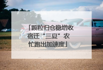 颗粒归仓稳增收 宿迁“三夏”农忙跑出加速度