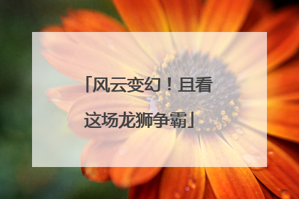风云变幻！且看这场龙狮争霸