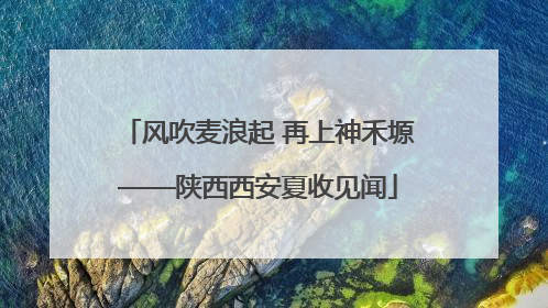 风吹麦浪起 再上神禾塬——陕西西安夏收见闻