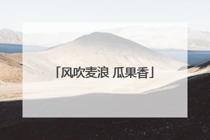 风吹麦浪 瓜果香