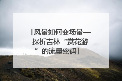风景如何变场景——探析吉林“赏花游”的流量密码