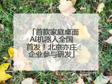 首款家庭桌面AI机器人全国首发！北京亦庄企业参与研发
