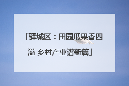 驿城区：田园瓜果香四溢 乡村产业谱新篇