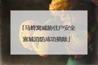 马蜂窝威胁住户安全 宣城消防成功摘除