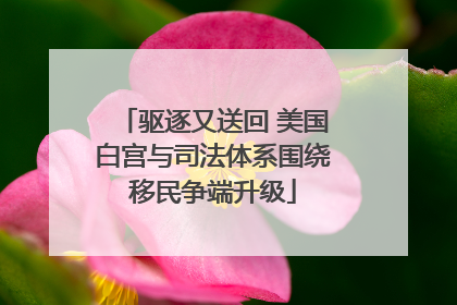 驱逐又送回 美国白宫与司法体系围绕移民争端升级