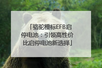 骆驼橙标EFB启停电池：引领高性价比启停电池新选择