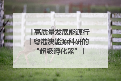 高质量发展能源行丨粤港澳能源科研的“超级孵化器”
