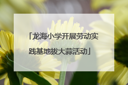 龙海小学开展劳动实践基地拔大蒜活动