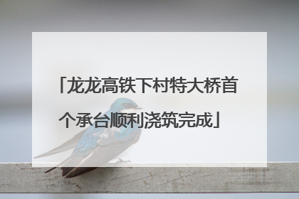 龙龙高铁下村特大桥首个承台顺利浇筑完成