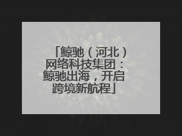 鲸驰（河北）网络科技集团：鲸驰出海，开启跨境新航程