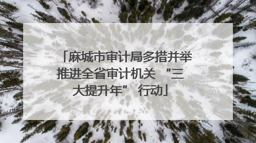 麻城市审计局多措并举推进全省审计机关 “三大提升年” 行动