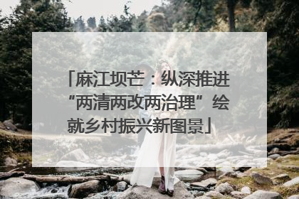 麻江坝芒：纵深推进“两清两改两治理”绘就乡村振兴新图景