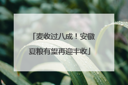 麦收过八成！安徽夏粮有望再迎丰收