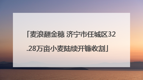 麦浪翻金穗 济宁市任城区32.28万亩小麦陆续开镰收割