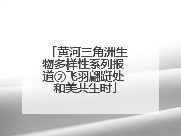 黄河三角洲生物多样性系列报道②飞羽翩跹处 和美共生时