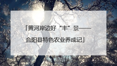 黄河岸边好“丰”景——合阳县特色农业养成记