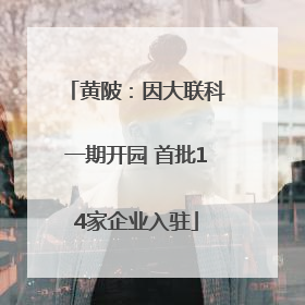 黄陂：因大联科一期开园 首批14家企业入驻