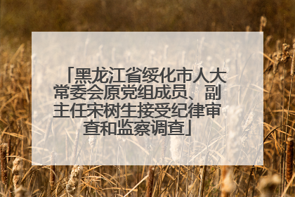 黑龙江省绥化市人大常委会原党组成员、副主任宋树生接受纪律审查和监察调查