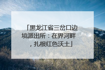 黑龙江省三岔口边境派出所：在界河畔，扎根红色沃土