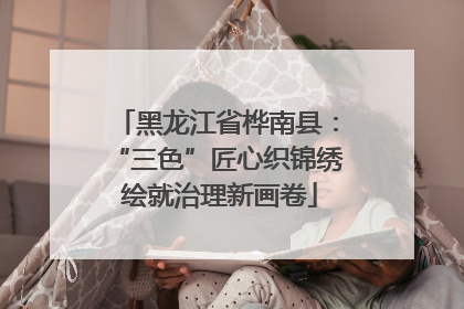 黑龙江省桦南县：“三色”匠心织锦绣 绘就治理新画卷