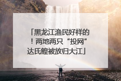 黑龙江渔民好样的！两地两只“投网”达氏鳇被放归大江