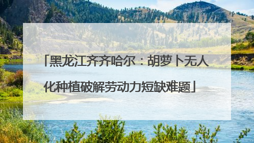 黑龙江齐齐哈尔：胡萝卜无人化种植破解劳动力短缺难题