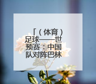 （体育）足球——世预赛：中国队对阵巴林队（3）