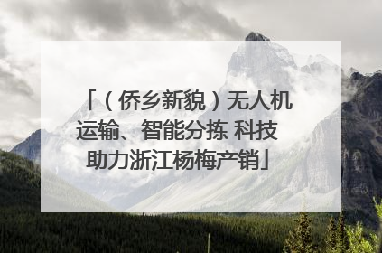 （侨乡新貌）无人机运输、智能分拣 科技助力浙江杨梅产销
