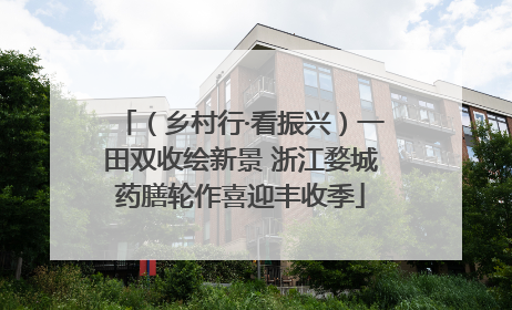 （乡村行·看振兴）一田双收绘新景 浙江婺城药膳轮作喜迎丰收季