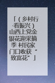 （乡村行·看振兴）山西上党金银花迎采摘季 村民家门口收获“致富花”