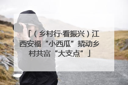 （乡村行·看振兴）江西安福“小西瓜”撬动乡村共富“大支点”