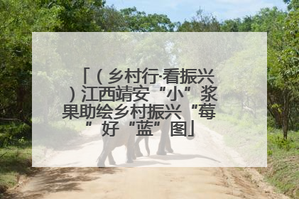 （乡村行·看振兴）江西靖安“小”浆果助绘乡村振兴“莓”好“蓝”图