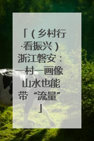 （乡村行·看振兴）浙江磐安：一村一画像 山水也能带“流量”