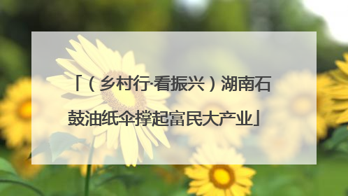 （乡村行·看振兴）湖南石鼓油纸伞撑起富民大产业