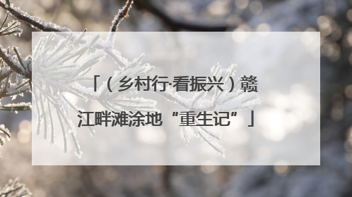 （乡村行·看振兴）赣江畔滩涂地“重生记”