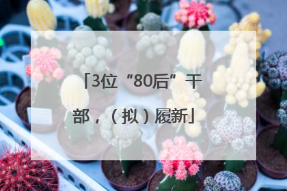 3位“80后”干部，（拟）履新