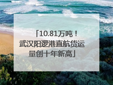 10.81万吨！武汉阳逻港直航货运量创十年新高