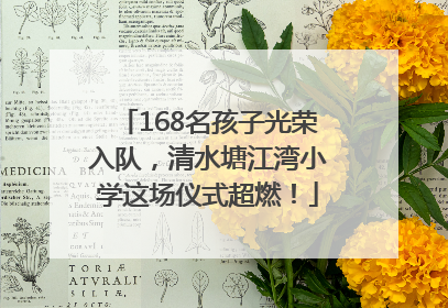 168名孩子光荣入队，清水塘江湾小学这场仪式超燃！