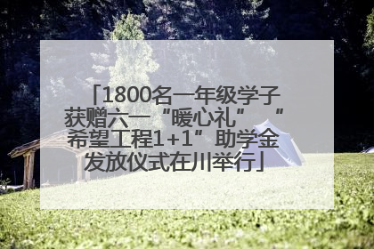 1800名一年级学子获赠六一“暖心礼” “希望工程1+1”助学金发放仪式在川举行