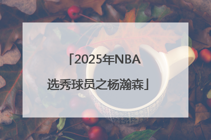 2025年NBA选秀球员之杨瀚森