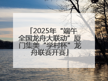 2025年“端午全国龙舟大联动”厦门集美“学村杯”龙舟联赛开赛