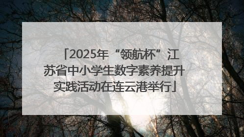 2025年“领航杯”江苏省中小学生数字素养提升实践活动在连云港举行