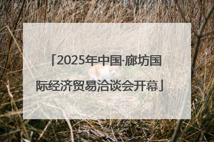 2025年中国·廊坊国际经济贸易洽谈会开幕