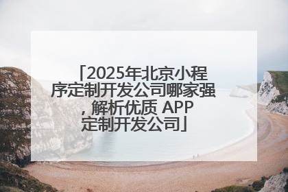 2025年北京小程序定制开发公司哪家强，解析优质 APP 定制开发公司