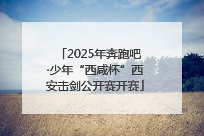 2025年奔跑吧·少年“西咸杯”西安击剑公开赛开赛