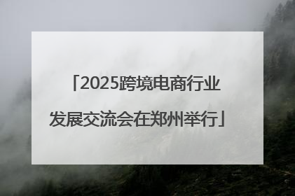 2025跨境电商行业发展交流会在郑州举行