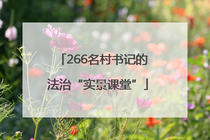 266名村书记的法治“实景课堂”