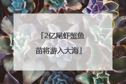 2亿尾虾蟹鱼苗将游入大海